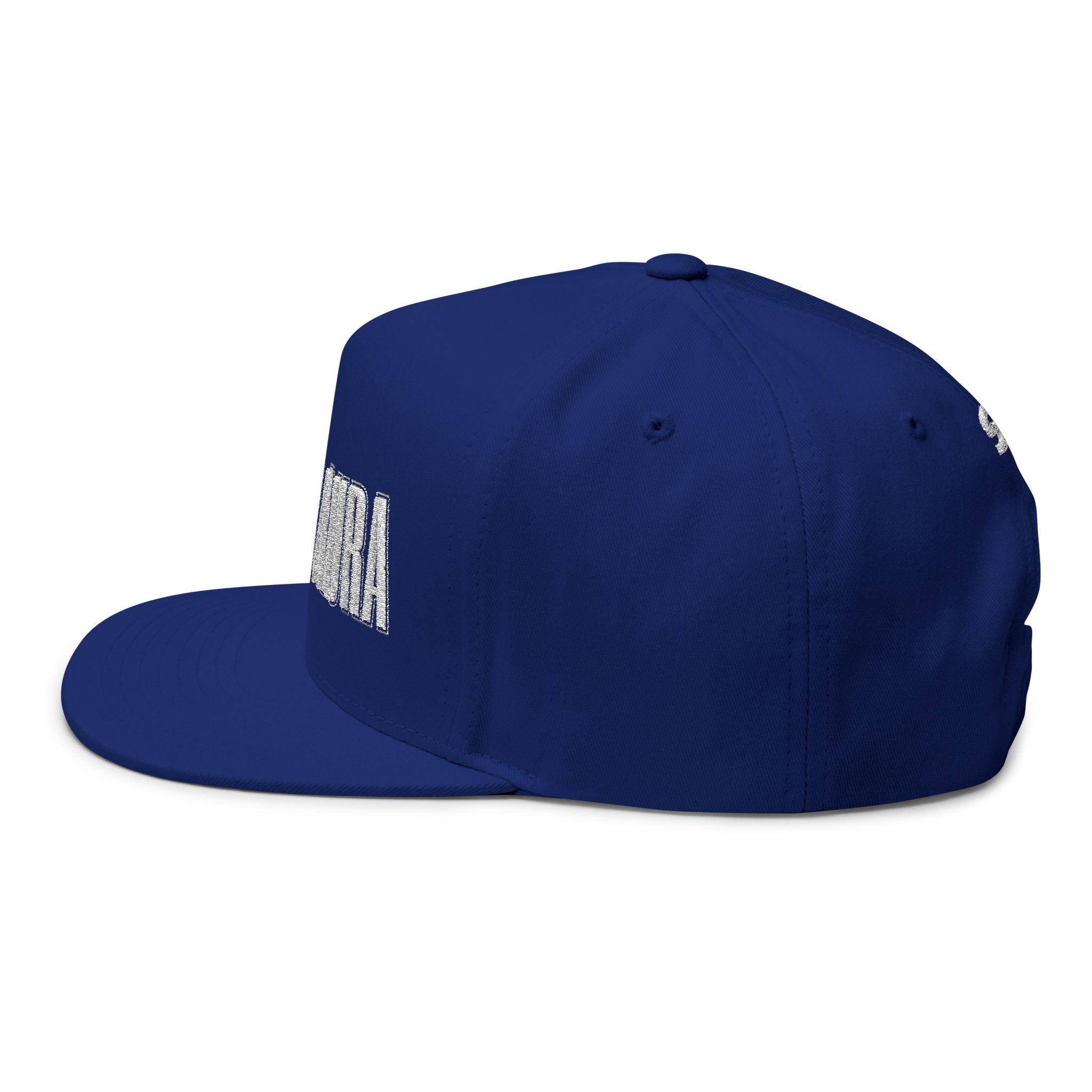 Static Aura Embroidered Flat Bill Cap