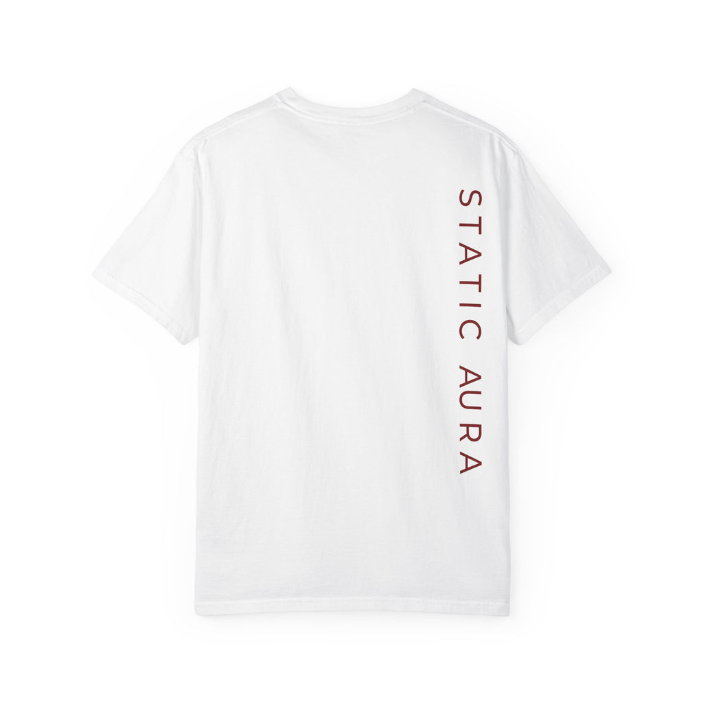 Static Aura: Zero Collapse